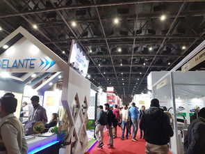 新天會展 連接世界舞臺，成就卓越商機